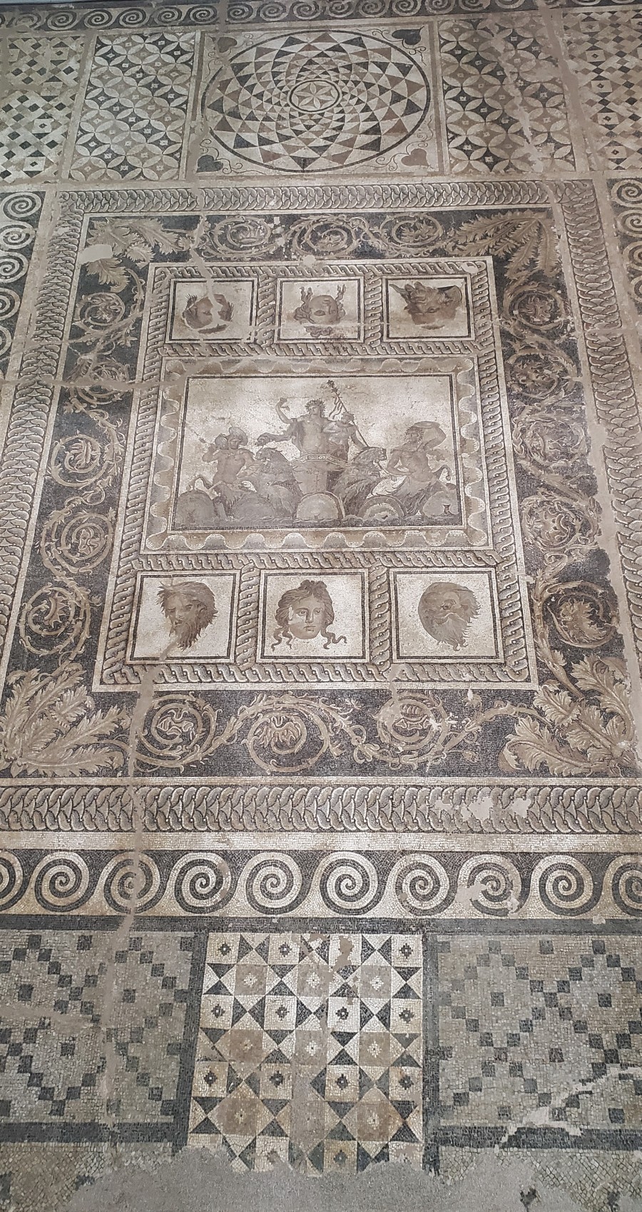 Dion_mosaic